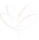 PremiumFlower