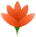 PremiumFlower